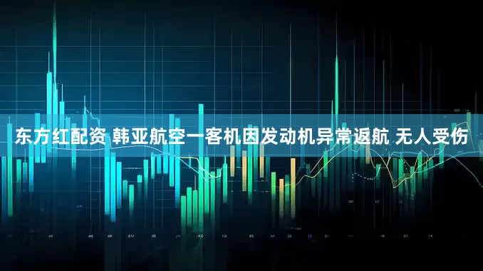 东方红配资 韩亚航空一客机因发动机异常返航 无人受伤