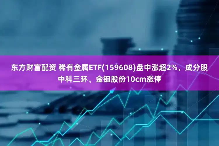东方财富配资 稀有金属ETF(159608)盘中涨超2%，成分股中科三环、金钼股份10cm涨停